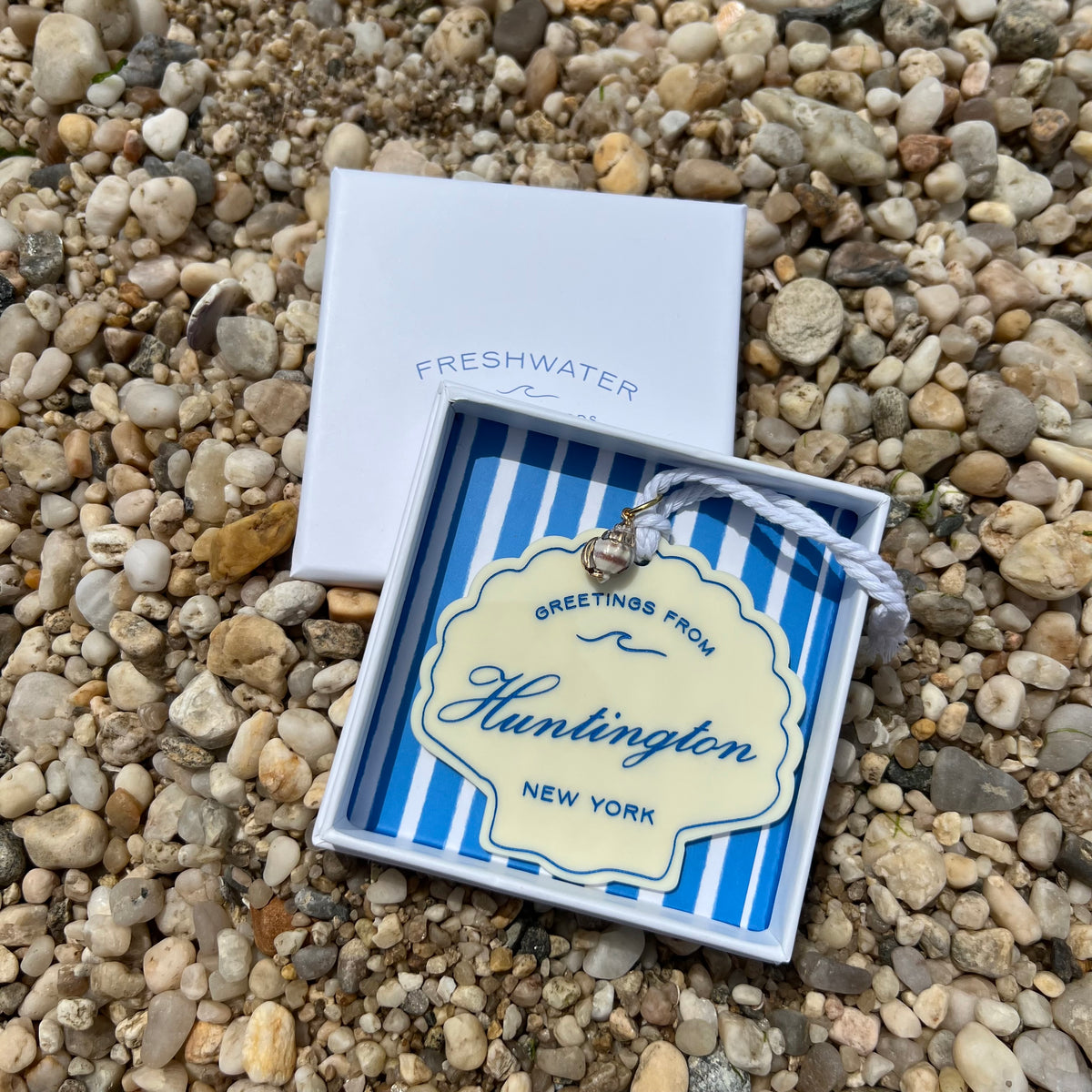 'Huntington' Seashell Ornament