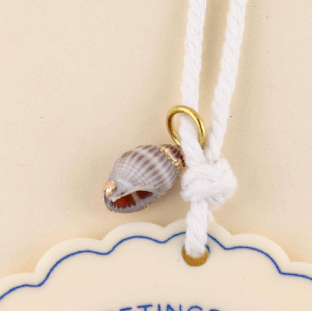 'Huntington' Seashell Ornament