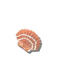 Hand-Painted Seashell Claw Hair Clip